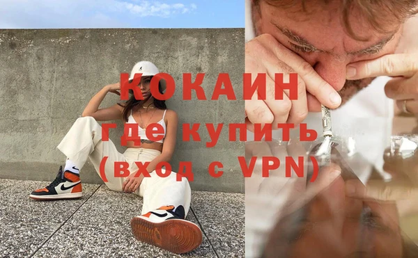 стаф Богданович