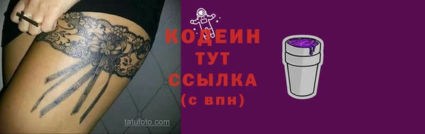 стаф Богданович