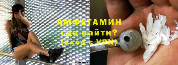 стаф Богданович