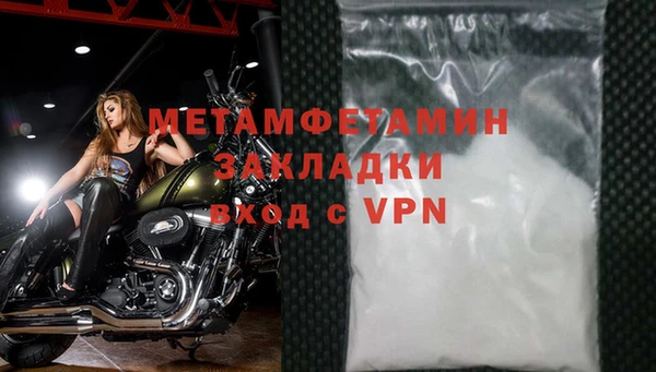 стаф Богданович