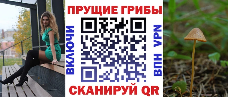 Галлюциногенные грибы Psilocybe  гидра ССЫЛКА  Гатчина 