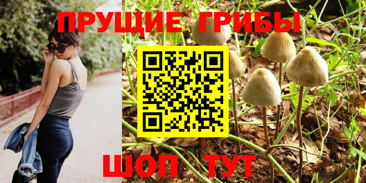 Галлюциногенные грибы прущие грибы  Галлюциногенные грибы мухоморы  Гатчина  Вход с VPN 