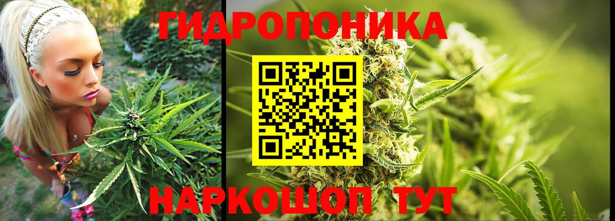 Бошки марихуана AK-47  Конопля LSD WEED  Гатчина  МАРИХУАНА VHQ 